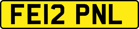 FE12PNL