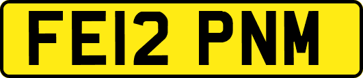 FE12PNM