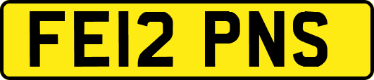 FE12PNS