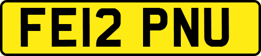 FE12PNU