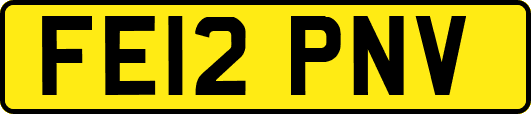 FE12PNV