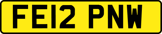 FE12PNW