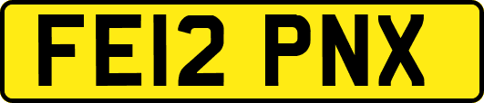 FE12PNX