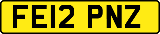 FE12PNZ