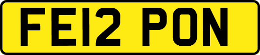 FE12PON