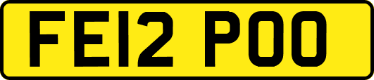 FE12POO