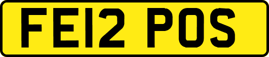 FE12POS