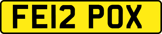 FE12POX