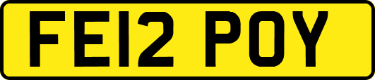 FE12POY