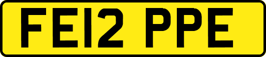 FE12PPE