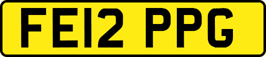 FE12PPG
