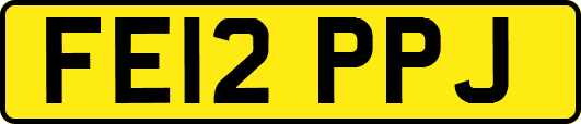 FE12PPJ