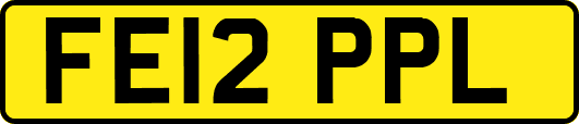 FE12PPL