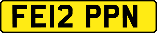 FE12PPN