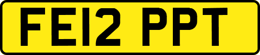 FE12PPT
