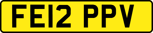 FE12PPV