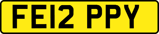 FE12PPY