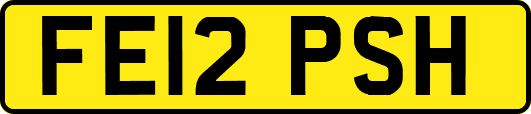 FE12PSH