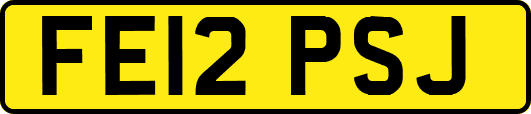 FE12PSJ