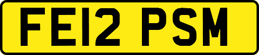 FE12PSM