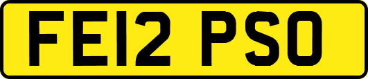 FE12PSO