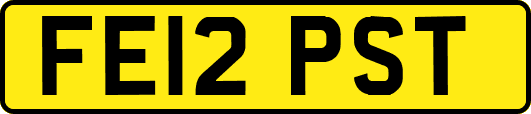 FE12PST