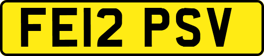 FE12PSV