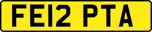 FE12PTA