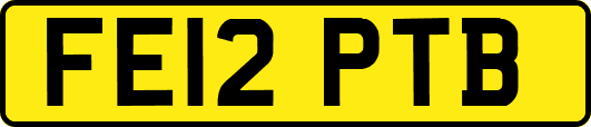 FE12PTB