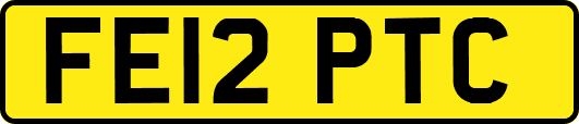 FE12PTC