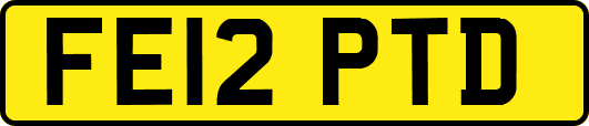 FE12PTD