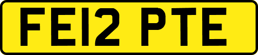 FE12PTE
