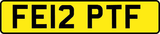 FE12PTF