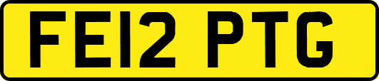 FE12PTG