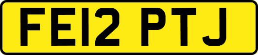 FE12PTJ