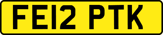 FE12PTK