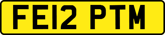 FE12PTM