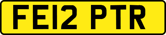 FE12PTR