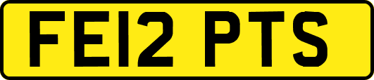 FE12PTS