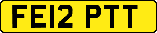 FE12PTT