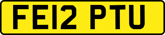 FE12PTU