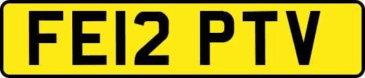FE12PTV