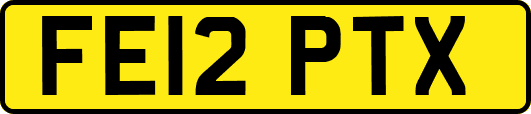 FE12PTX