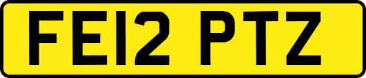 FE12PTZ