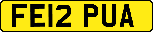 FE12PUA