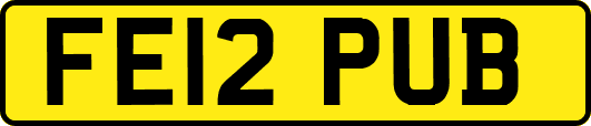 FE12PUB