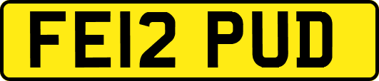 FE12PUD