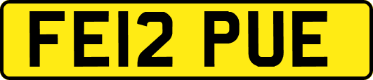FE12PUE