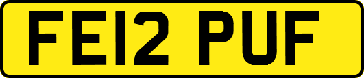 FE12PUF