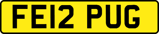FE12PUG